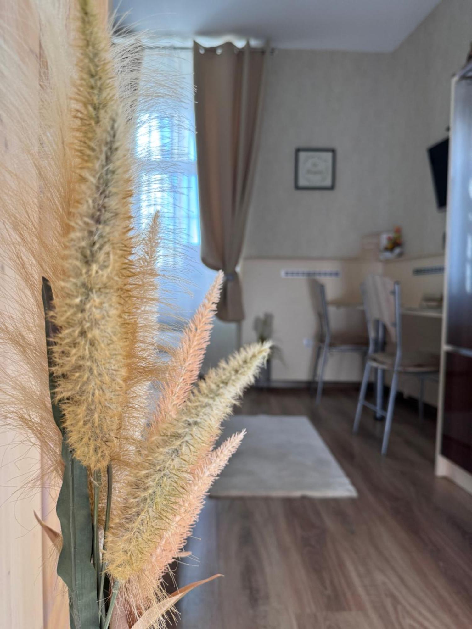 Safit-Mandala Apartamento Mosonmagyaróvár Exterior foto